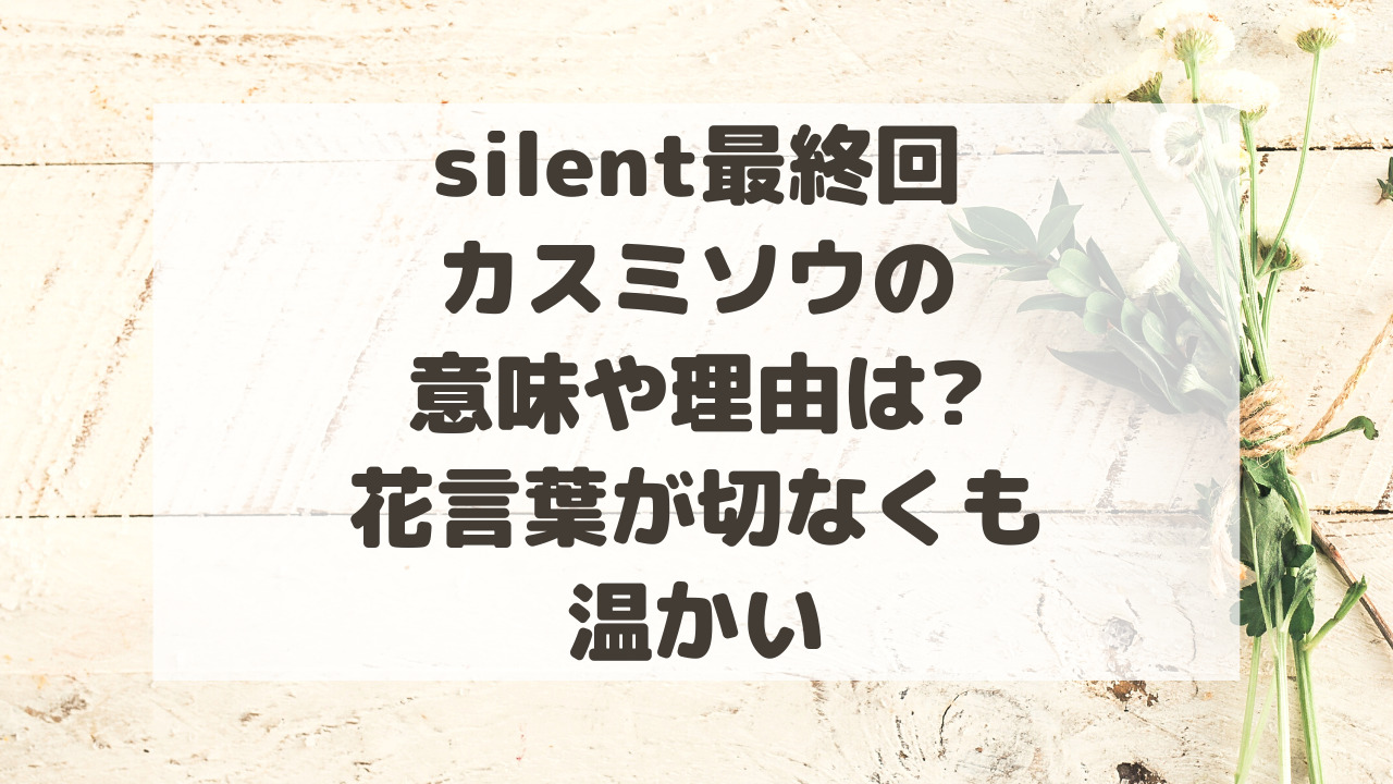 Silent最終回カスミソウの意味や理由は 花言葉が切なくも温かい のーてんき日和