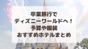 卒業旅行でアメリカのディズニーへ!予算や服装・おすすめホテルまとめ