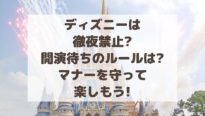 ディズニーは徹夜禁止?開演待ちのルールは?マナーを守って楽しもう!