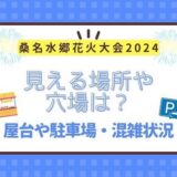 桑名水郷花火大会2024見える場所や穴場は？屋台や駐車場・混雑状況は？